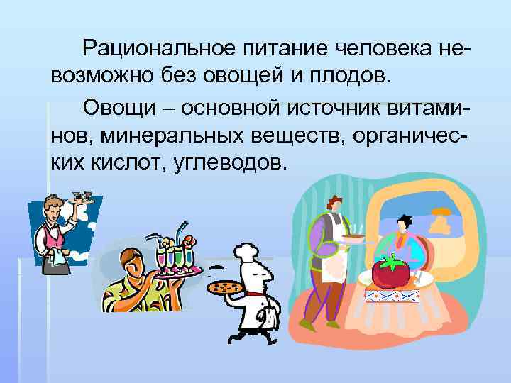 Рациональное питание человека невозможно без овощей и плодов. Овощи – основной источник витаминов, минеральных