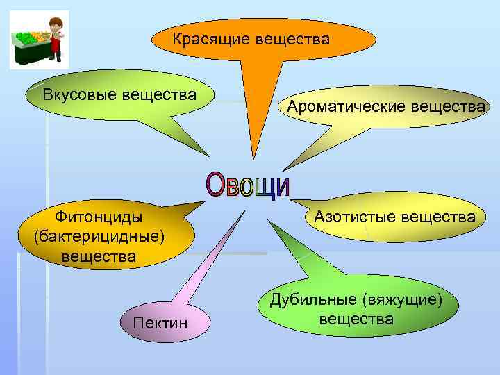 Красящие вещества Вкусовые вещества Фитонциды (бактерицидные) вещества Пектин Ароматические вещества Азотистые вещества Дубильные (вяжущие)