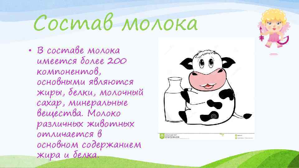 Состав молока • В составе молока имеется более 200 компонентов, основными являются жиры, белки,