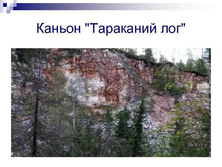 Каньон "Тараканий лог" 