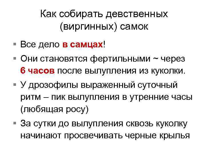 Как собирать девственных (виргинных) самок § Все дело в самцах! § Они становятся фертильными