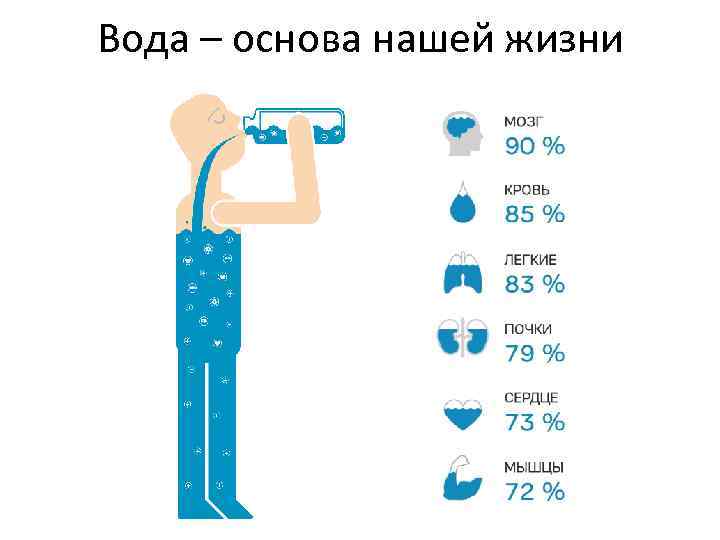 Вода – основа нашей жизни 