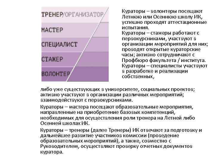 Кураторы – волонтеры посещают Летнюю или Осеннюю школу ИК, успешно проходят аттестационные испытания. Кураторы