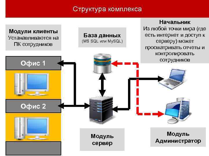 Структура комплекса Начальник Модули клиенты Устанавливаются на ПК сотрудников База данных (MS SQL или