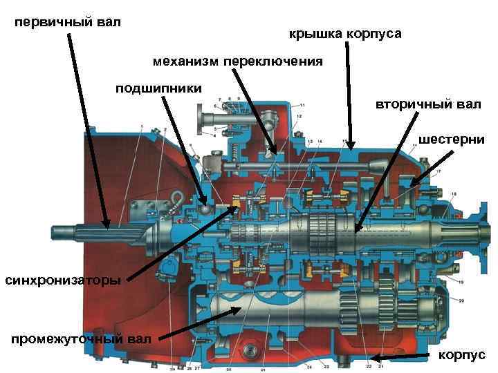 первичный вал крышка корпуса механизм переключения подшипники вторичный вал шестерни синхронизаторы промежуточный вал корпус