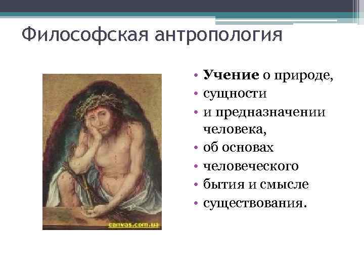 Философская антропология • Учение о природе, • сущности • и предназначении человека, • об