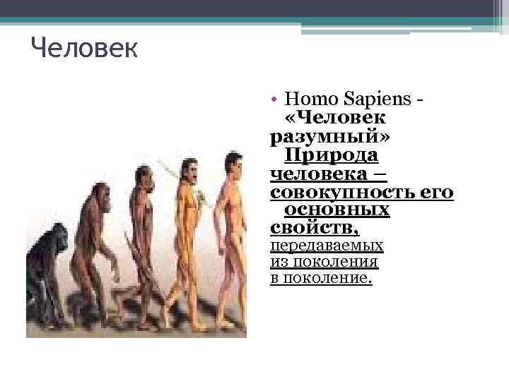 Человек • Homo Sapiens «Человек разумный» Природа человека – совокупность его основных свойств, передаваемых