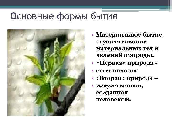 Основные формы бытия • Материальное бытие - существование материальных тел и явлений природы. •