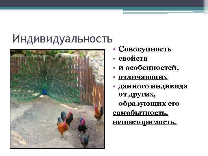 Индивидуальность • Совокупность • • свойств и особенностей, отличающих данного индивида от других, образующих