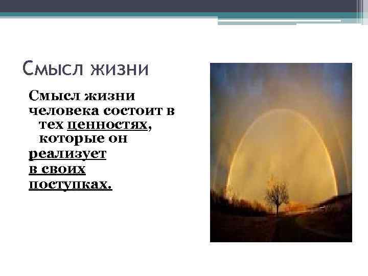 Смысл жизни человека состоит в тех ценностях, которые он реализует в своих поступках. 