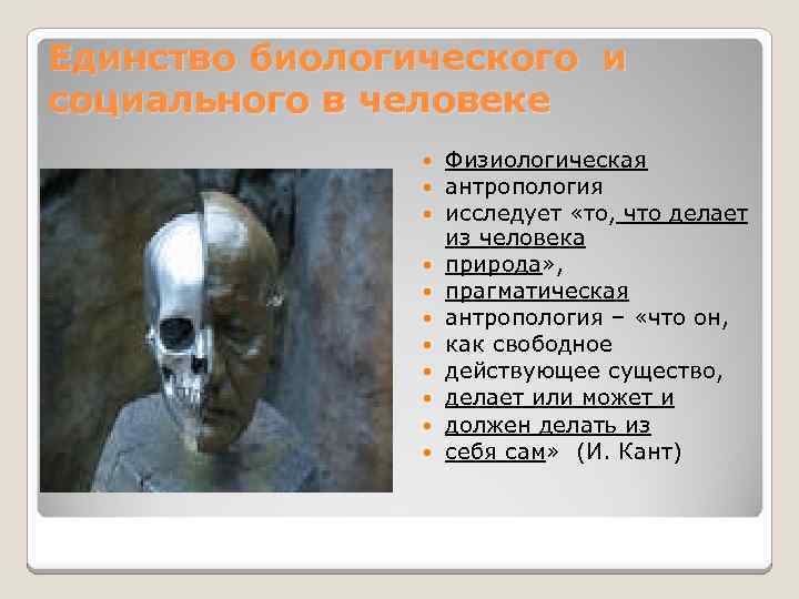 Единство биологического и социального в человеке Физиологическая антропология исследует «то, что делает из человека