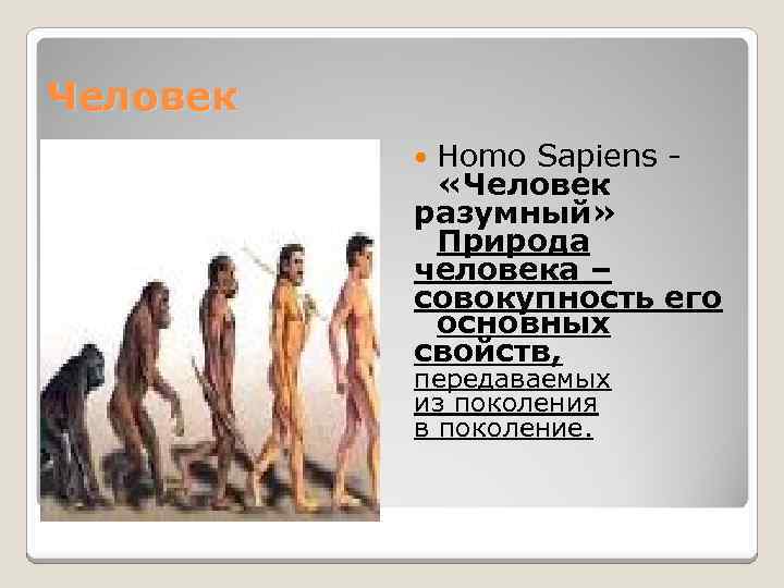 Человек Homo Sapiens «Человек разумный» Природа человека – совокупность его основных свойств, передаваемых из