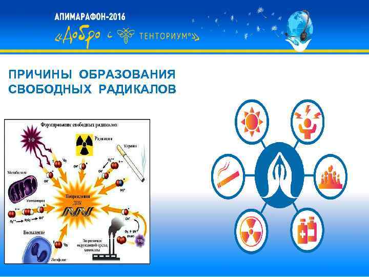 ПРИЧИНЫ ОБРАЗОВАНИЯ СВОБОДНЫХ РАДИКАЛОВ 