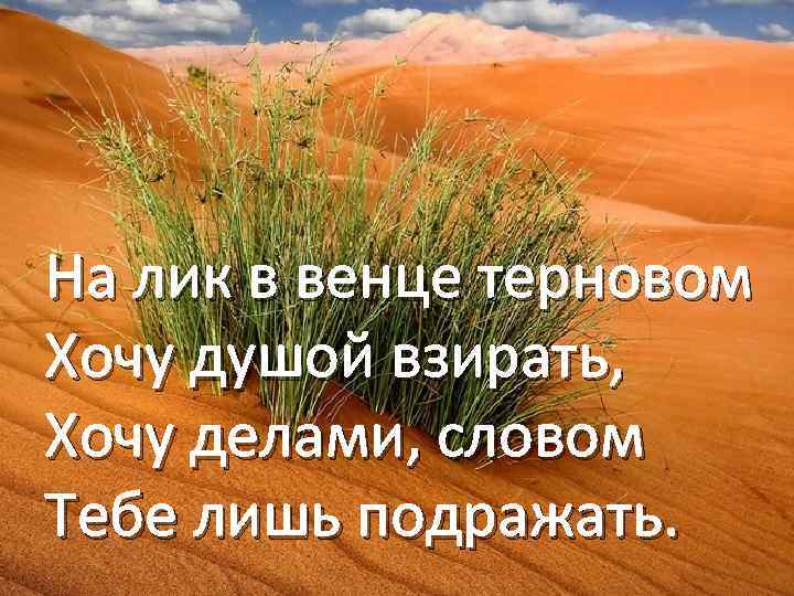 На лик в венце терновом Хочу душой взирать, Хочу делами, словом Тебе лишь подражать.