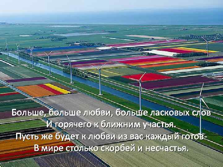 Больше, больше любви, больше ласковых слов И горячего к ближним участья. Пусть же будет