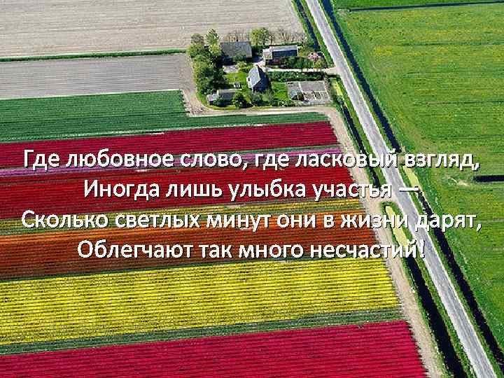 Где любовное слово, где ласковый взгляд, Иногда лишь улыбка участья — Сколько светлых минут