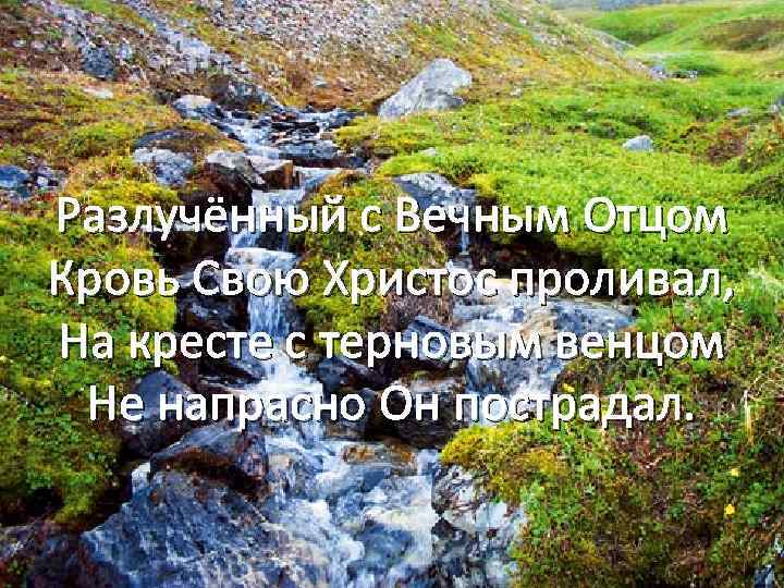 Разлучённый с Вечным Отцом Кровь Свою Христос проливал, На кресте с терновым венцом Не