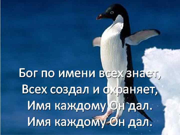 Бог по имени всех знает, Всех создал и охраняет, Имя каждому Он дал. 