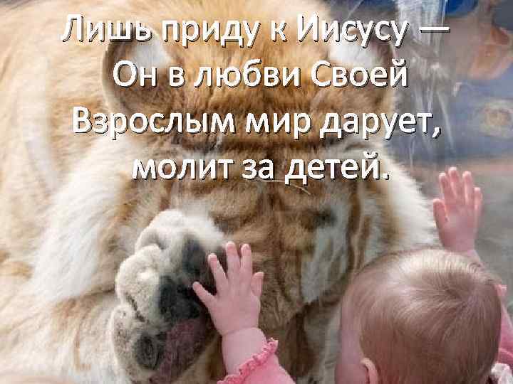Лишь приду к Иисусу — Он в любви Своей Взрослым мир дарует, молит за