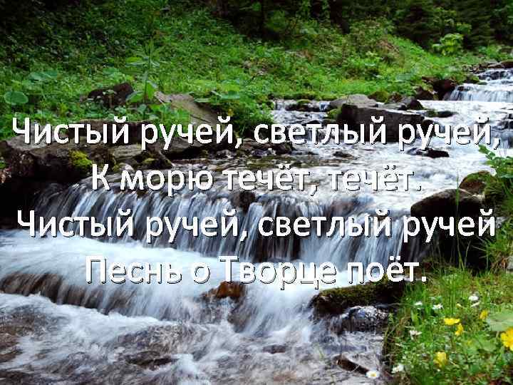 Бежит бежит ручеек текст. Чистый ручей. Чистейший ручей. Чистый Ручеек. Горный ручей стихи.