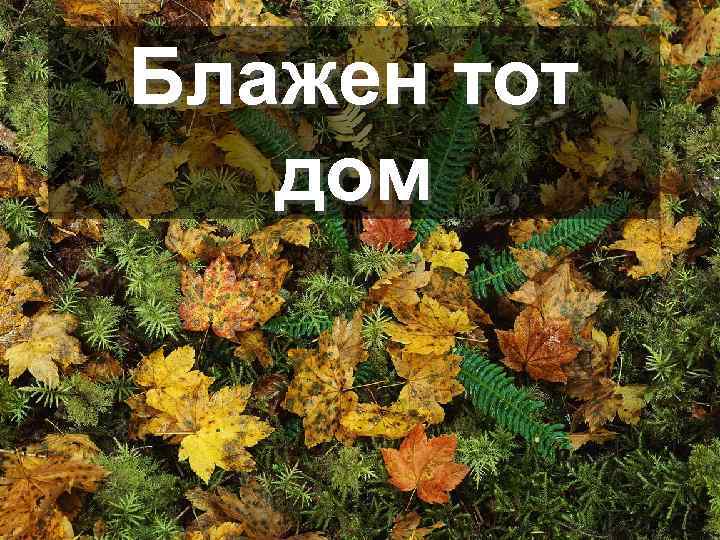 Блажен тот дом 