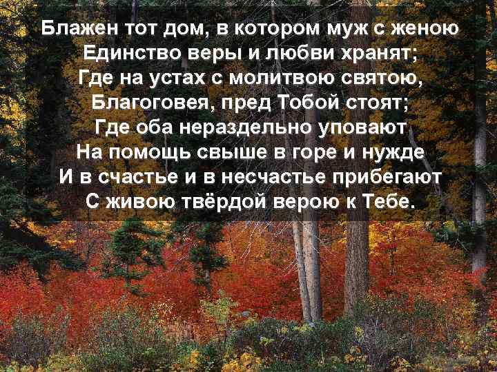 Блажен тот дом, в котором муж с женою Единство веры и любви хранят; Где