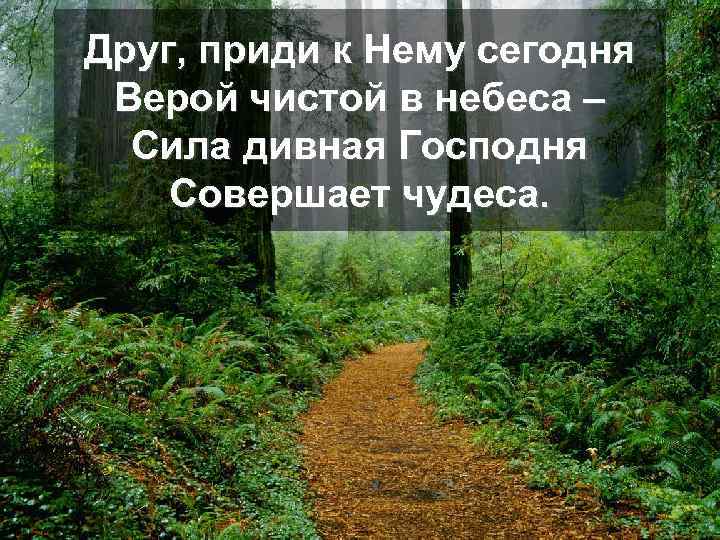 Друг, приди к Нему сегодня Верой чистой в небеса – Сила дивная Господня Совершает