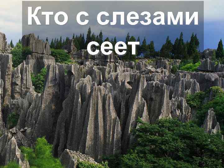 Кто с слезами сеет 