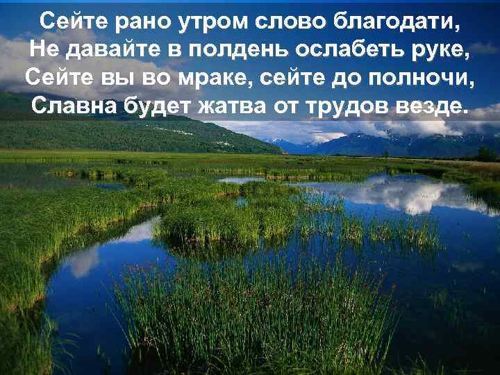 Сейте рано утром слово благодати, Не давайте в полдень ослабеть руке, Сейте вы во