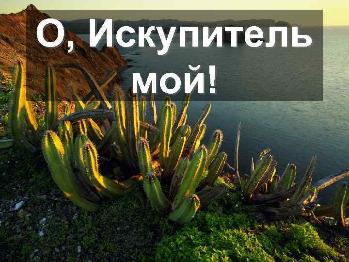О, Искупитель мой! 