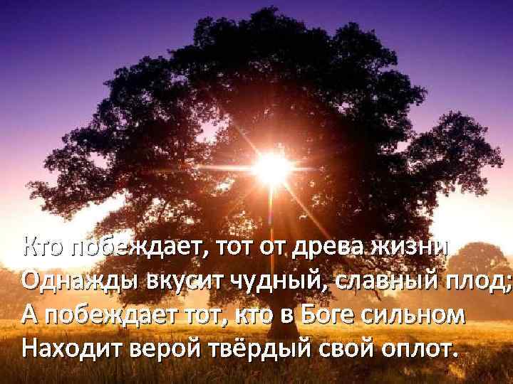 Кто побеждает, тот от древа жизни Однажды вкусит чудный, славный плод; А побеждает тот,