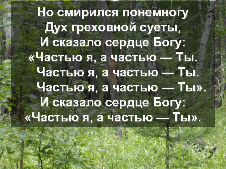 Но смирился понемногу Дух греховной суеты, И сказало сердце Богу: «Частью я, а частью