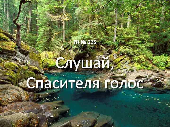 ГН № 235 Слушай, Спасителя голос 