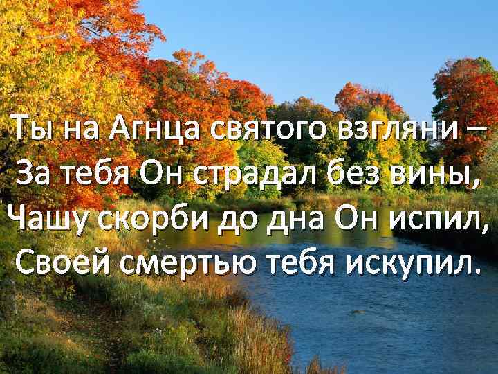 Ты на Агнца святого взгляни – За тебя Он страдал без вины, Чашу скорби