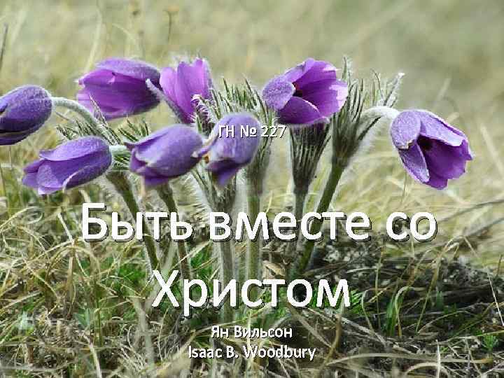 ГН № 227 Быть вместе со Христом Ян Вильсон Isaac В. Woodbury 1 