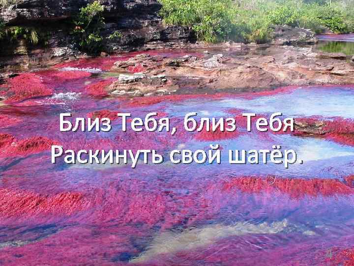 Близ Тебя, близ Тебя Раскинуть свой шатёр. 4 