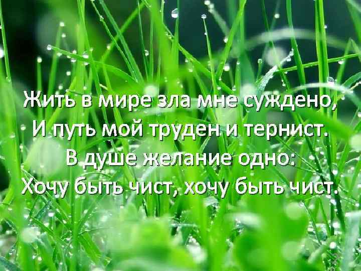 Жить в мире зла мне суждено, И путь мой труден и тернист. В душе