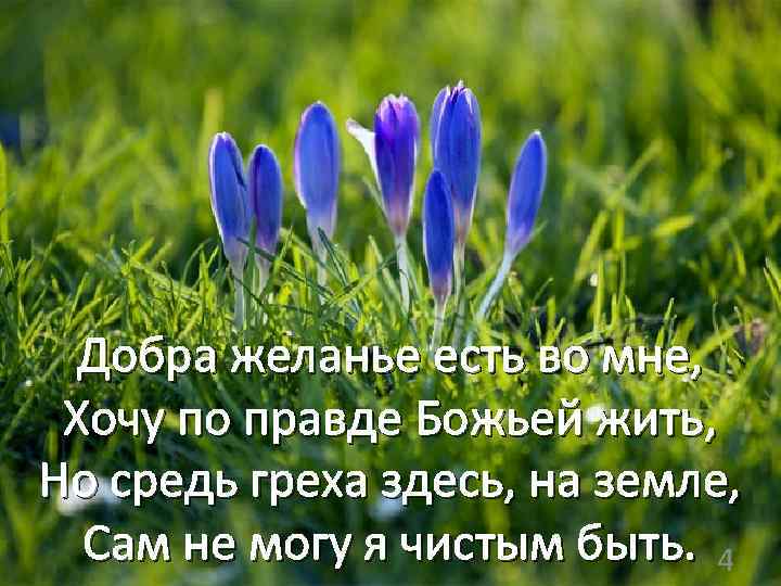 Добра желанье есть во мне, Хочу по правде Божьей жить, Но средь греха здесь,