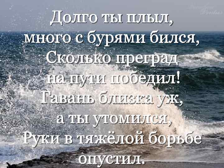 Долго ты плыл, много с бурями бился, Сколько преград на пути победил! Гавань близка