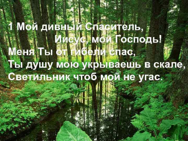 1 Мой дивный Спаситель, Иисус, мой Господь! Меня Ты от гибели спас, Ты душу