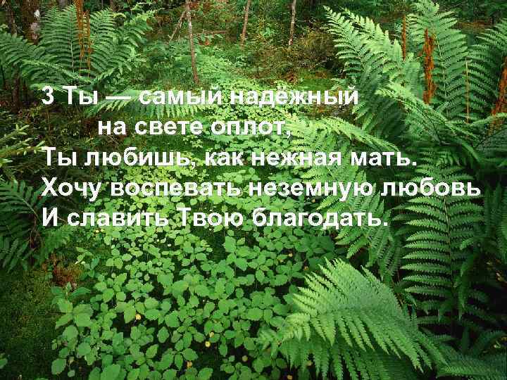 3 Ты — самый надёжный на свете оплот, Ты любишь, как нежная мать. Хочу
