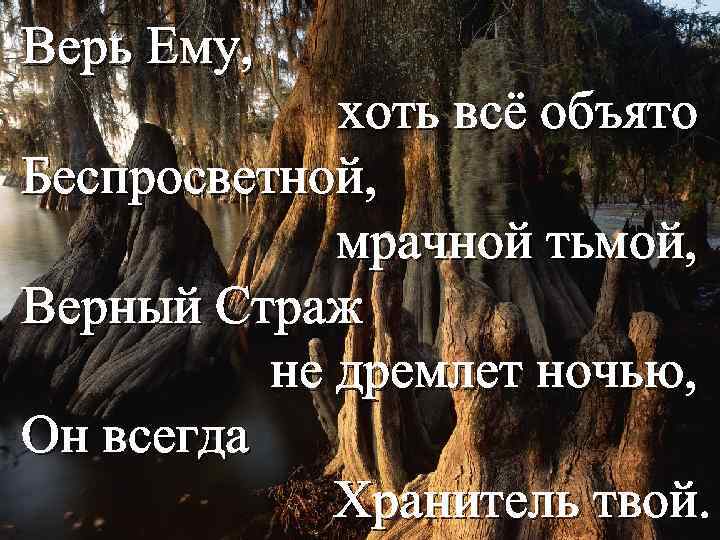 Верь Ему, хоть всё объято Беспросветной, мрачной тьмой, Верный Страж не дремлет ночью, Он