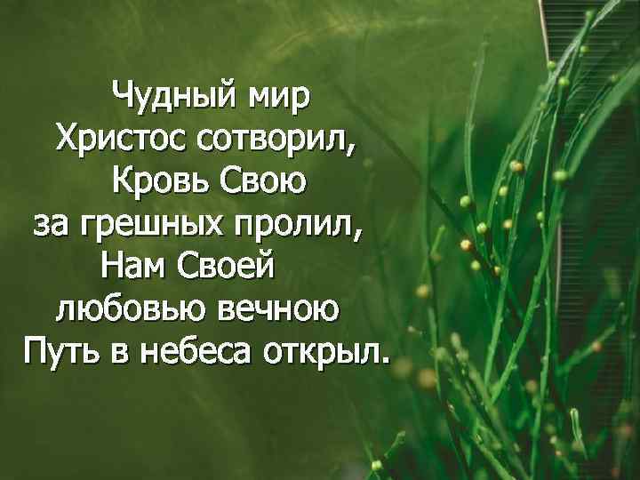 Чудный мир Христос сотворил, Кровь Свою за грешных пролил, Нам Своей любовью вечною