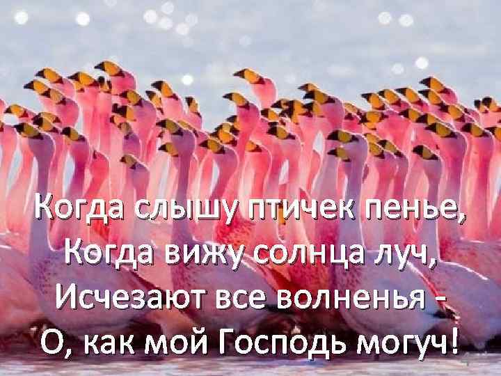 Когда слышу птичек пенье, Когда вижу солнца луч, Исчезают все волненья О, как мой