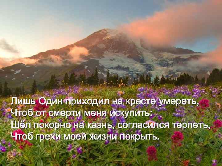 Лишь Один приходил на кресте умереть, Чтоб от смерти меня искупить: Шёл покорно на