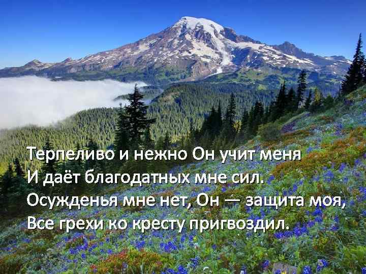 Терпеливо и нежно Он учит меня И даёт благодатных мне сил. Осужденья мне нет,