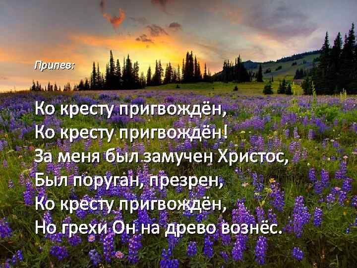 Припев: Ко кресту пригвождён, Ко кресту пригвождён! За меня был замучен Христос, Был поруган,