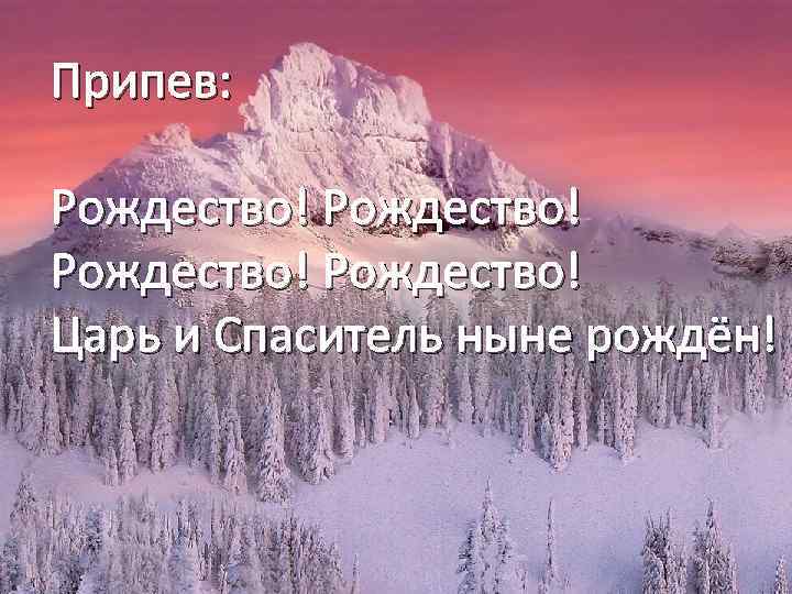 Припев: Рождество! Царь и Спаситель ныне рождён! 