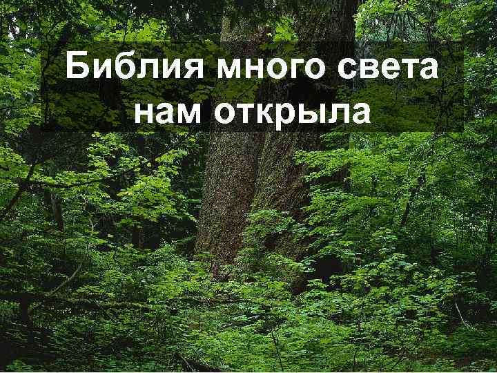Библия много света нам открыла 