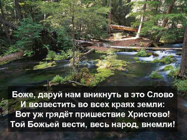 Боже, даруй нам вникнуть в это Слово И возвестить во всех краях земли: Вот